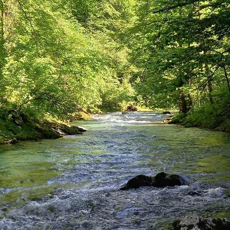 Apartma Marjetica Blejska Dobrava Luaran gambar