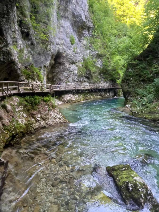 Apartma Marjetica Blejska Dobrava Luaran gambar