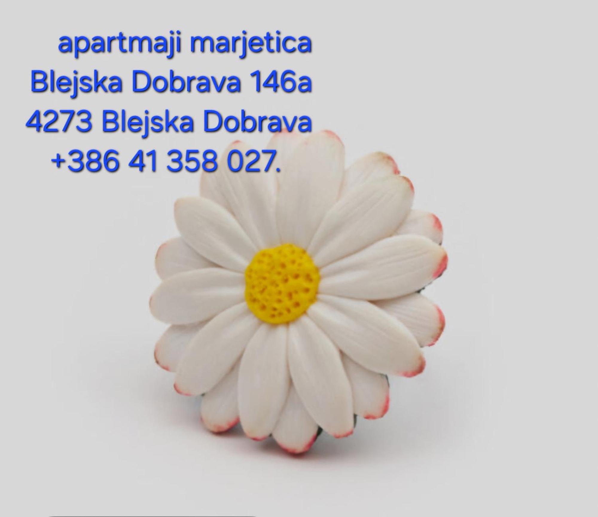 Apartma Marjetica Blejska Dobrava Luaran gambar
