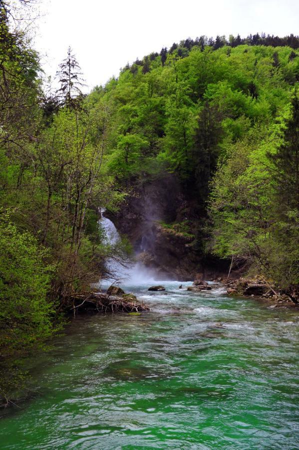 Apartma Marjetica Blejska Dobrava Luaran gambar